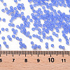 12/0 Grade A Round Glass Seed Beads X-SEED-Q006-M13-3