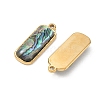 Natural Paua Shell Pendants SA-CBA11D7-11B-G-2