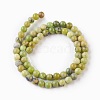 Natural Serpentine Beads Strands G-G767-04-6mm-2