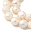 Natural Cultured Freshwater Pearl Beads Strands PEAR-A006-10A-4