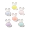 Frosted Transparent Acrylic Beads OACR-A032-21-1