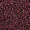 TOHO Round Seed Beads X-SEED-TR08-0331-2