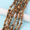 Natural Picture Jasper Beads Strands G-G0003-B16-2