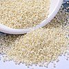 MIYUKI Delica Beads SEED-X0054-DB0157-1