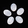 Natural White Shell Cabochons SSHEL-D083-14-1