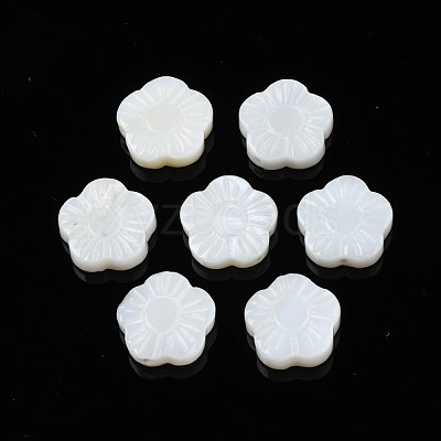 Natural Freshwater Shell Beads SHEL-N026-184-1
