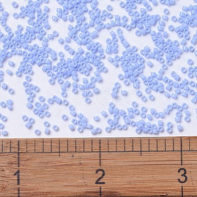 MIYUKI Delica Beads X-SEED-J020-DB1137-1