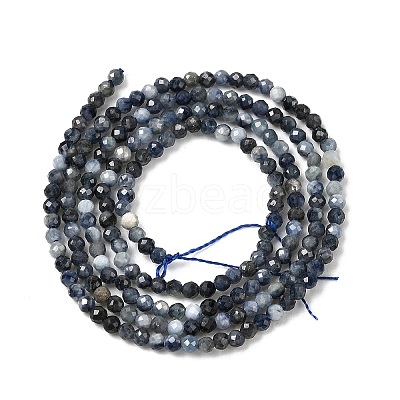 Natural Sapphire Beads Strands G-K366-C04-2mm-1