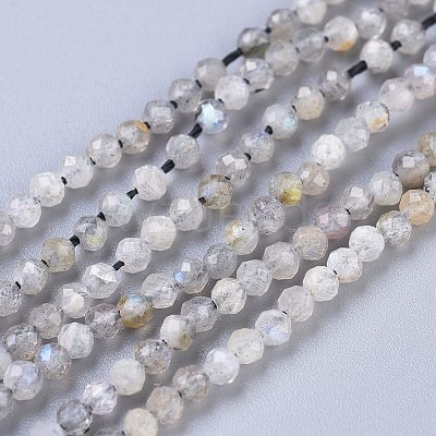Natural Labradorite Beads Strands G-R475-025A-1