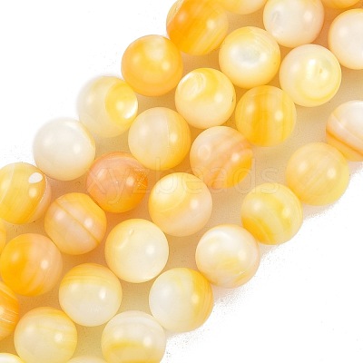 Natural Golden Yellow Shell Beads Strands SSHEL-G024-01E-1