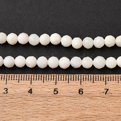 Shell Beads Strands SSHEL-E571-38-4mm-01-1