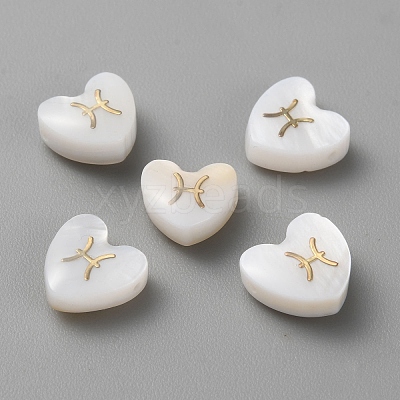 5Pcs Natural White Shell Beads BSHE-TAC0004-02B-1