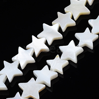 Natural Freshwater Shell Beads Strands X-SHEL-S278-01B-01-1