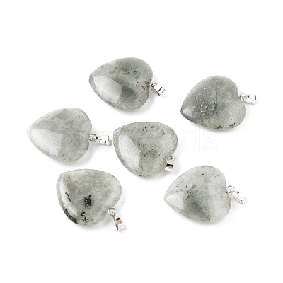 Natural Labradorite Pendants G-G956-B45-FF-1