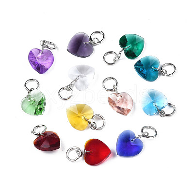 Faceted Transparent Glass Charms GLAA-T024-04-1