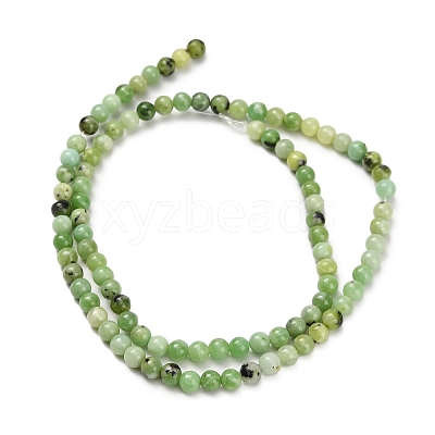 Natural Serpentine Beads Strands G-Z110-C04-4mm-1