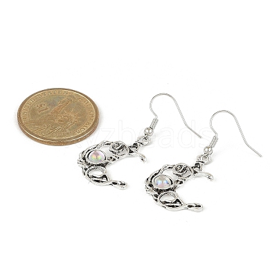 Alloy Resin Dangle Earrings EJEW-JE06370-02-1