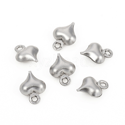Non-Tarnish 304 Stainless Steel Charms STAS-I149-05C-P-1