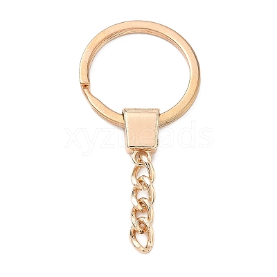 Alloy Keychain Clasps FIND-C084-11KCG-1