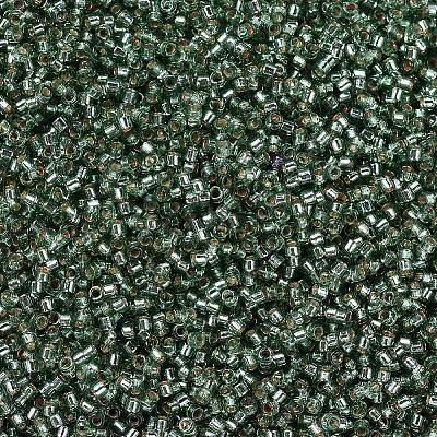 MIYUKI Delica Beads X-SEED-J020-DB2165-1