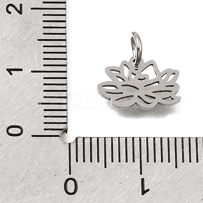 304 Stainless Steel Charms SA-CBA4CE0-01P-F-1