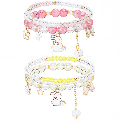 2Bags 2 Colors Plastic & Glass Beaded Stretch Bracelets BJEW-PA0001-09-1