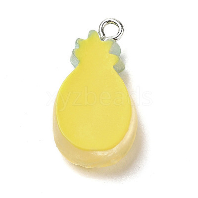 Resin Pendants X1-RESI-P027-04M-1