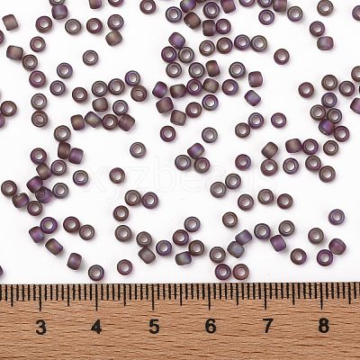 TOHO Round Seed Beads SEED-XTR08-0166BF-1