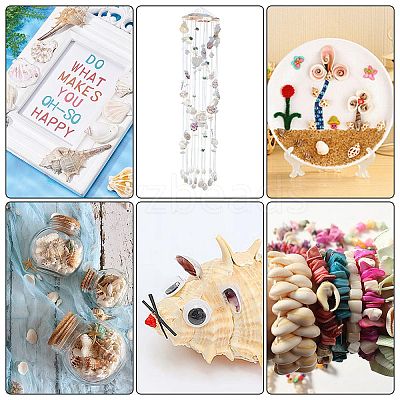 Natural Trumpet Shell Beads BSHE-SC0001-03-1