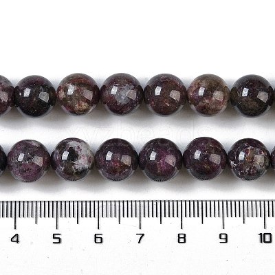 Natural Plum Blossom Tourmaline Beads Strands G-K364-B01-03-1