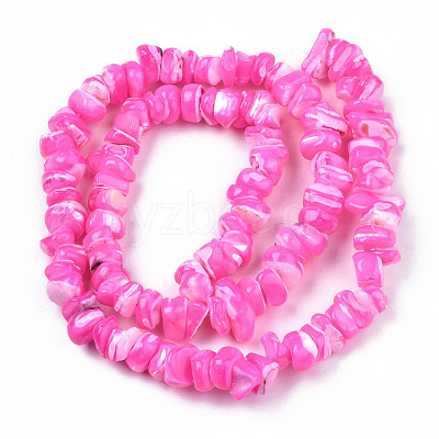 Natural Freshwater Shell Beads Strands SHEL-N003-23-B05-1
