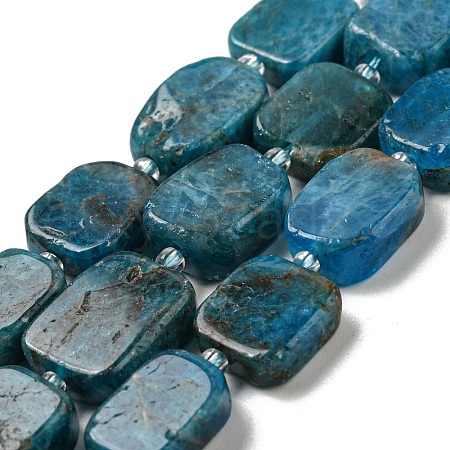 Natural Apatite Beads Strands G-Z043-A03-01-1