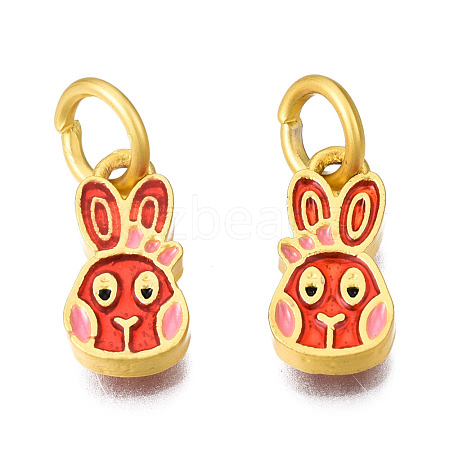 Alloy Enamel Charms KK-N238-060B-1