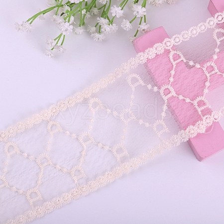 Polyester Lace Trim Ribbons PW-WG34220-05-1-1