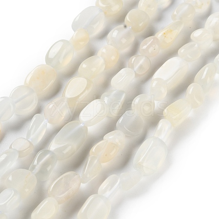 Natural White Moonstone Beads Strands G-P497-01C-65-1