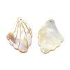 Freshwater Shell Pendants BSHE-S618-2