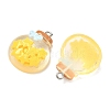Transparent Resin Pendants LS-RESI-K203-19-3