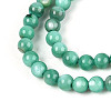 Natural Freshwater Shell Beads Strands X-BSHE-T009A-01J-3