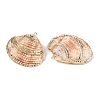 Natural Scallop Shell Pendants SSHEL-N038-15-2