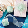 Polyester Deco Mesh Ribbons OCOR-TAC0024-004G-8