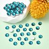 Preciosa® MAXIMA Crystal No Hotfix Flatback Stones Y-PRC-NSS8-60230-2