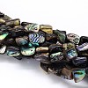 Natural Paua Shell Beads Strands SSHEL-J047-03-1