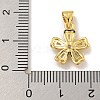 Rack Plating Brass Micro Pave Cubic Zirconia Charms KK-C074-64G-02-3