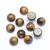 Natural Tiger Eye Cabochons X-G-P393-R26-6mm-1