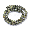 Natural Serpentine/Green Lace Stone Bead Strands X-G-R411-11-6mm-2