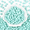Opaque Baking Paint Glass Seed Beads SEED-N008-03A-05-2