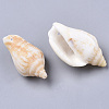 Natural Spiral Shell Pendants SSHEL-N035-02-4