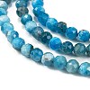 Natural Apatite Beads Strands G-C127-A01-01-3