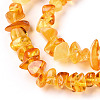 Natural Amber Beads Strands G-T138-235A-3