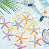 GOMAKERER 20Pcs 5 Colors PVC Starfish Display Decorations DJEW-GO0001-04-4